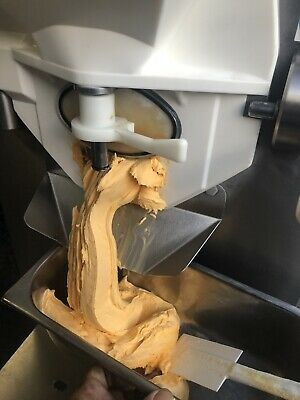 Proizvodnja sladoleda s strojem za sladoled