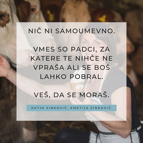 Kmetija Sinkovič in njen quote